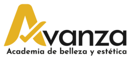 Academia Avanza